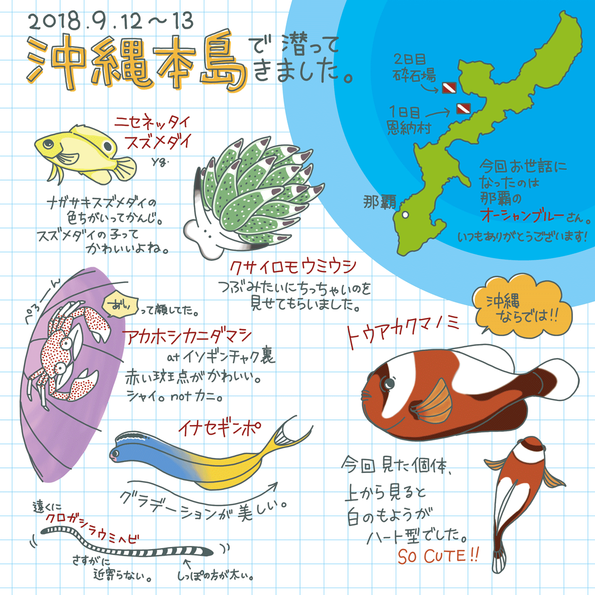 2018年9月・沖縄本島：スキューバダイビングログブック