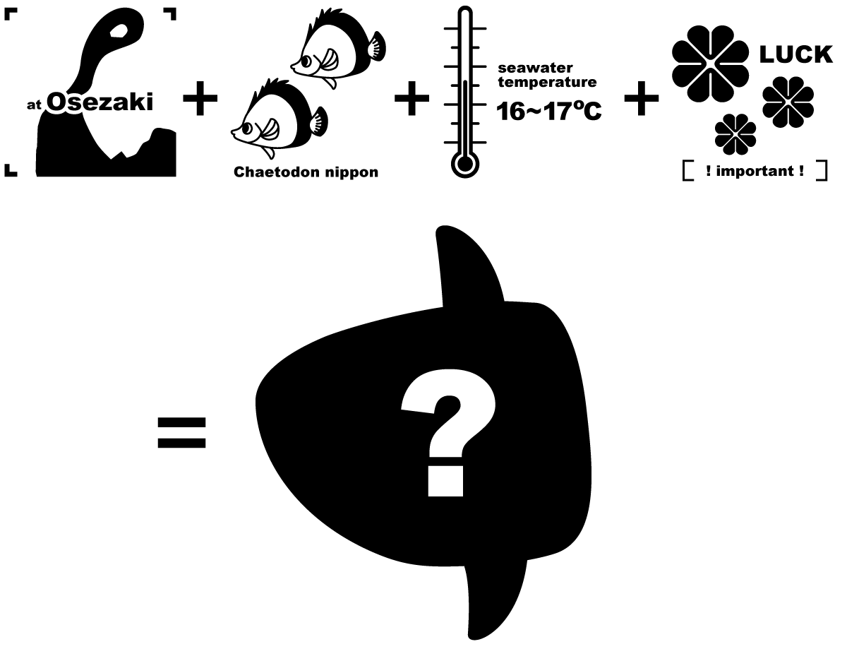 マンボウ祈願の方程式