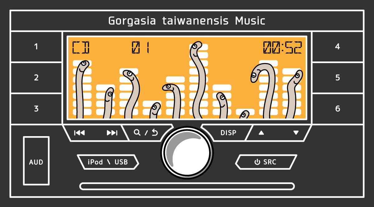 アキアナゴ☆ミュージック カラー版