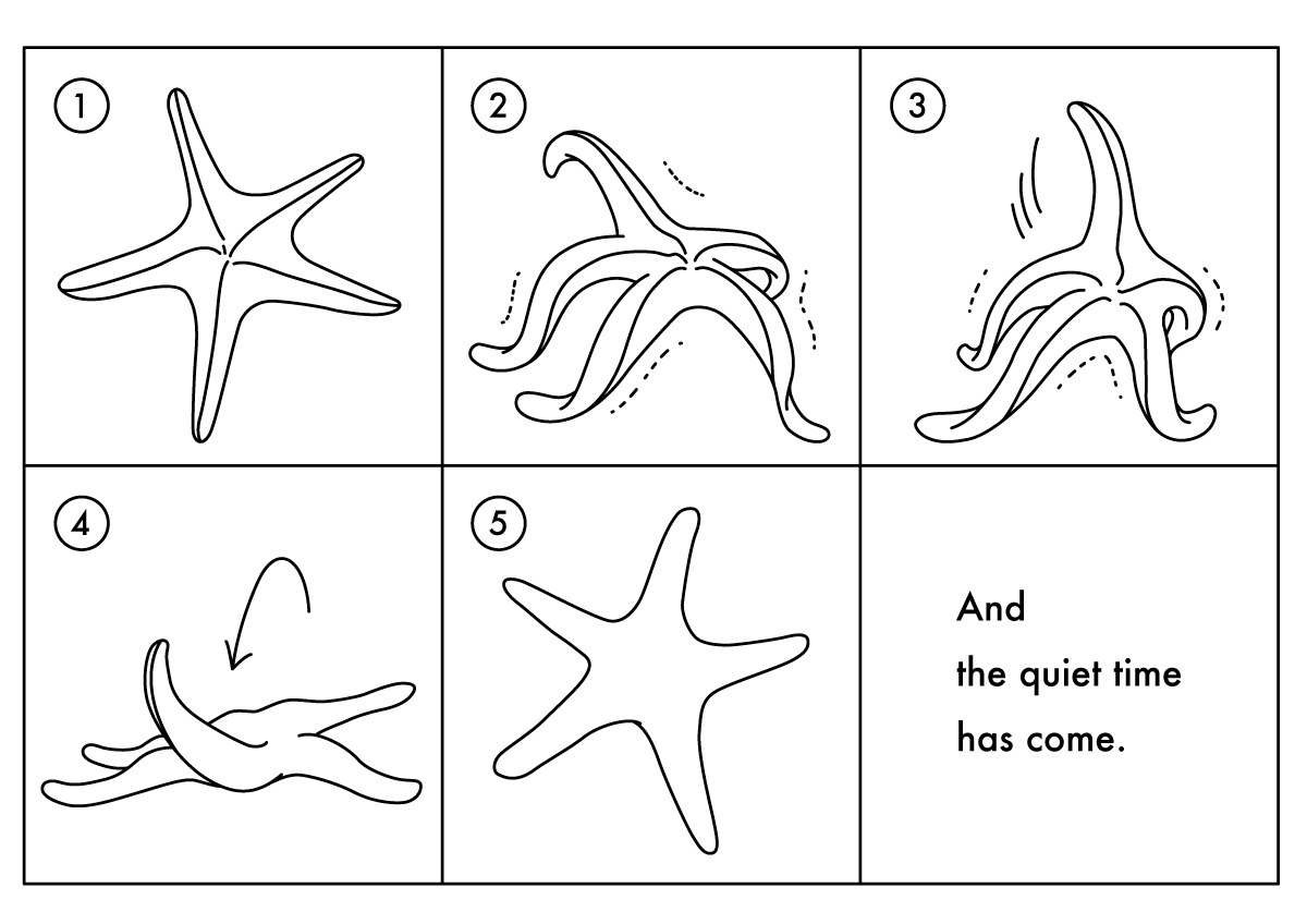 戻るヒトデ