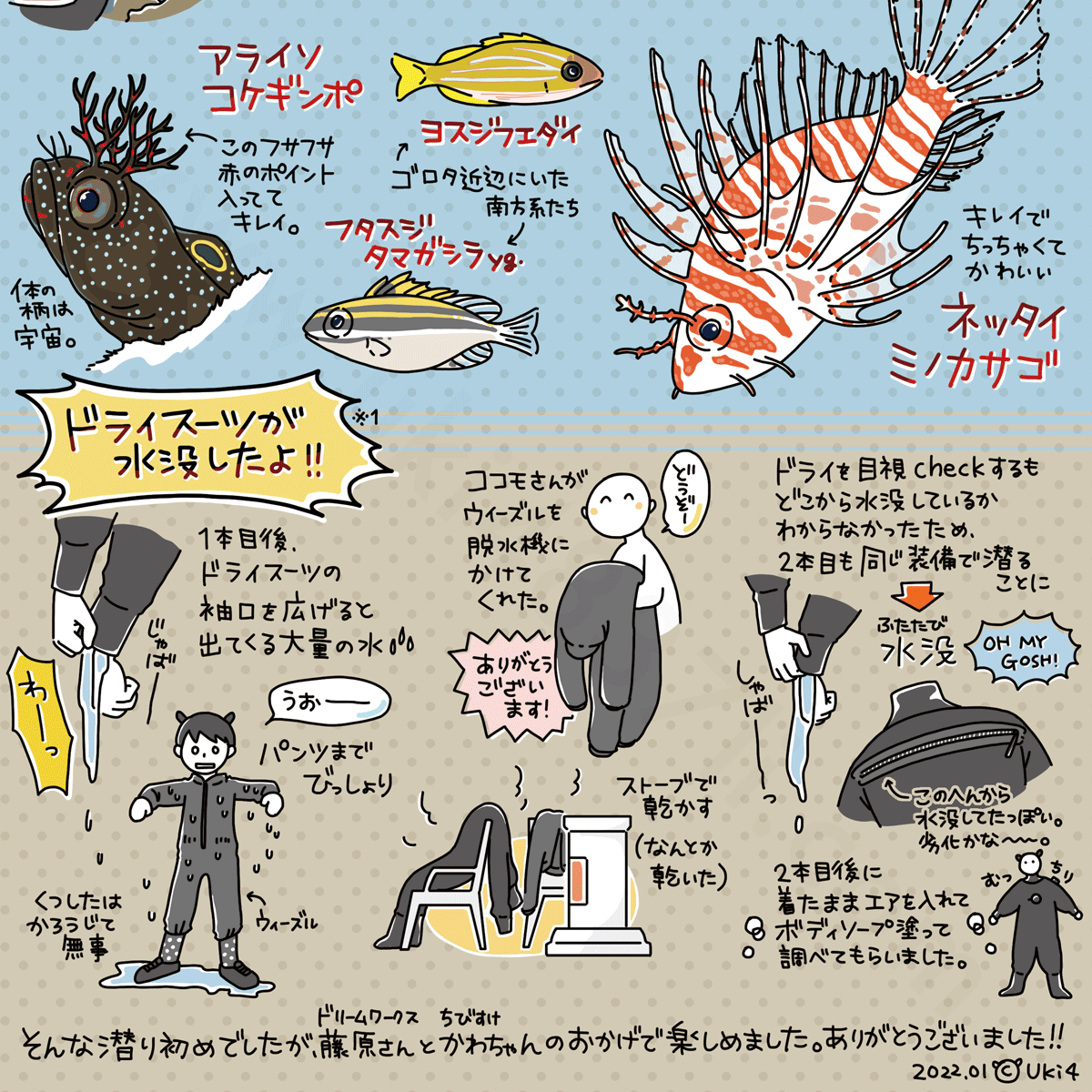 2022年01月・大瀬崎：スキューバダイビングログブック[2]